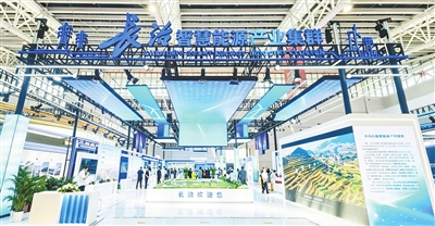 p61_b.jpg