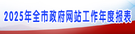 2025年全市政府网站工作年度报表