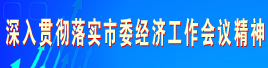 深入贯彻落实市委经济工作会议精神